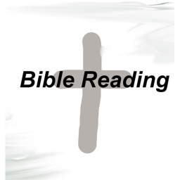 Bible Reading
