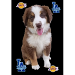 DODGERS RULE