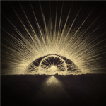 The Dark Coliation