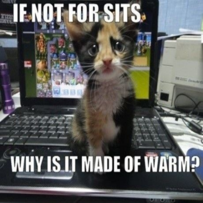 Cat meme (READ DESCRIPTION) Roblox decal