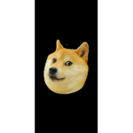 Powerful DOGES