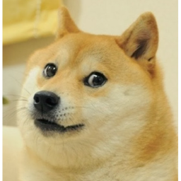 Doges United | Training Center