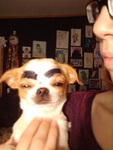 Estrella_chan Fans