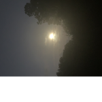 Moon Light growl