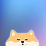 TEAM DOGE KING