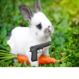 gun is not a bunny