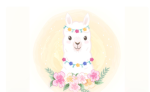 ONLY people who like llamas