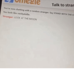 #Kittiez