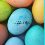 EggTribe