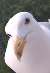 3EeeeeEeeeEeeeeeee
