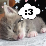 -strvwberrymxlk- ピンク