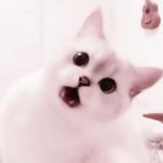 hi im zania