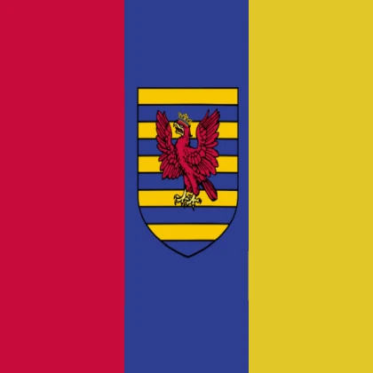 custom flag