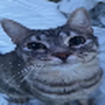 KOTII