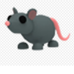 +._Rats._+