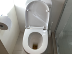The ###### in the toilet