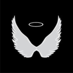 *-Fallen Angels-*
