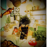 Exquisite Oasis