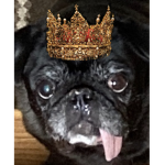 The Pug Queens Castle