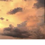 HunnieBears