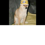 Meme Moderator’s