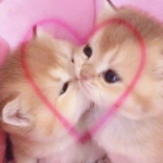 ! yukki