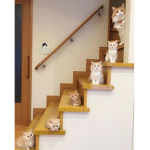 Cats on stairs.