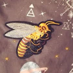 Bee Hangout!🐝