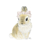 emmyss favorite group