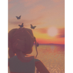 Sunshine sun club