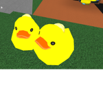 My cuties :3
