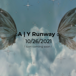 ʚ [V II❄️] A | Y Runway ɞ