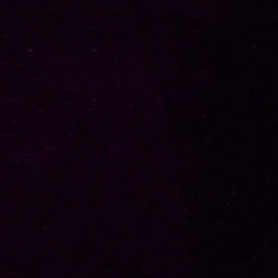 ✧