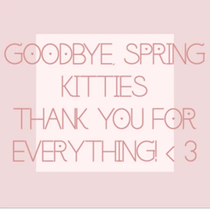 ⁕ Spring Kitties WCUE Roblox group icon