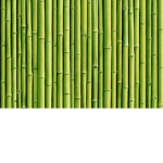 Bamboo Theifs
