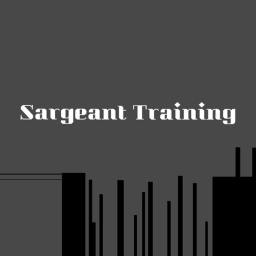 Sergeant Training