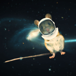 Animal Space Station