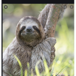 Sloth clean