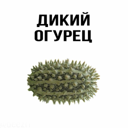 Мини-игра Дикого Огурца (Глава 29)