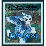 NotSchoolStudy