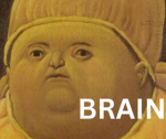 Brainrotted Brainrots