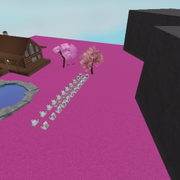 Our clothing shop!