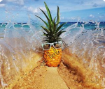 Pineapple Gang! (: