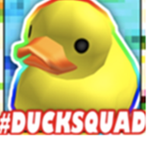 BEST QUACK DUCK SQUAD