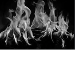 BIack Fire
