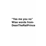 Yes you no
