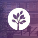 • Ashfield Academy