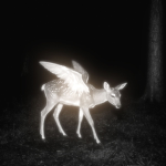 dear bambi