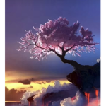 The Cherry blossom trees