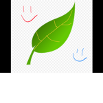 Shiney leafs group